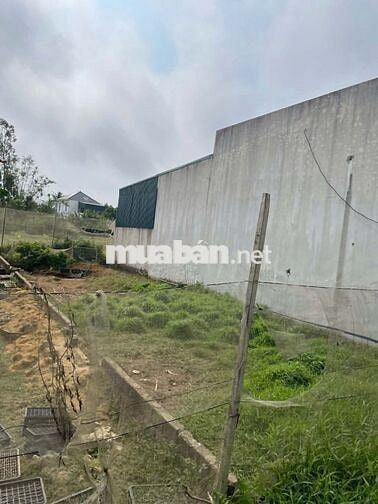 BÁN NHANH LÔ ĐẤT ĐẸP QUẢNG HÙNG SẦM SƠN