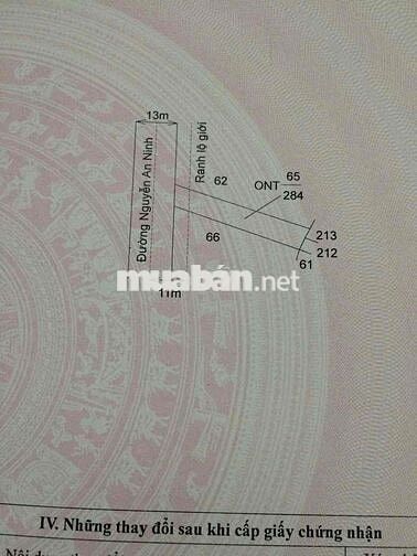 Đất thổ cư 284m mặt tiền Nguyễn An Ninh thị trấn Cần Giuộc