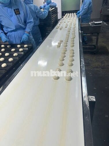 Tuyển dụng LĐPT sản xuất bánh mì
