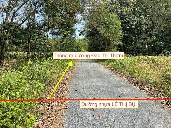 Chủ cần tiền bán nhanh đất dân cư chưa thổ 4581m2 Giá 5.2 tỷ có bớt