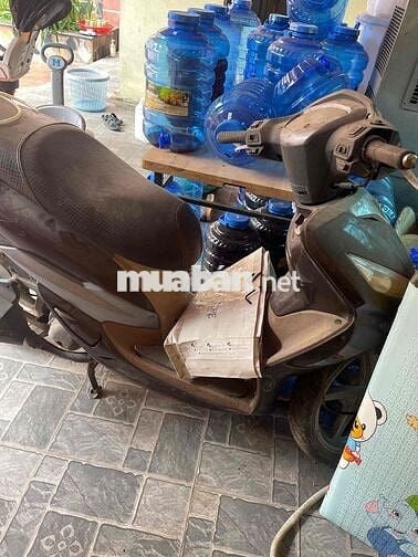SYM Shark Nâu 33032 KM