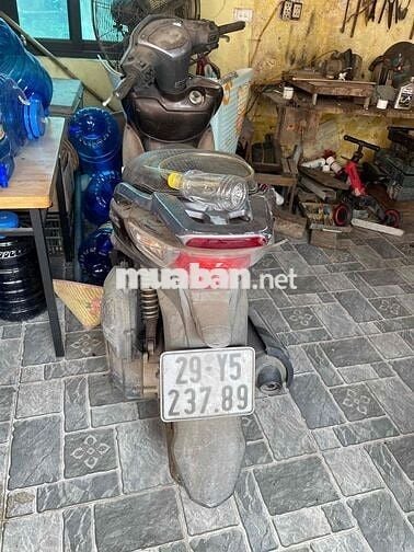 SYM Shark Nâu 33032 KM
