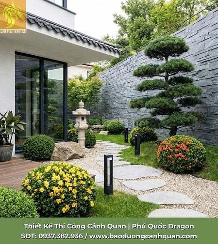 Dịch vụ cắt tỉa cành nhánh - chăm sóc cây xanh chuyên nghiệp