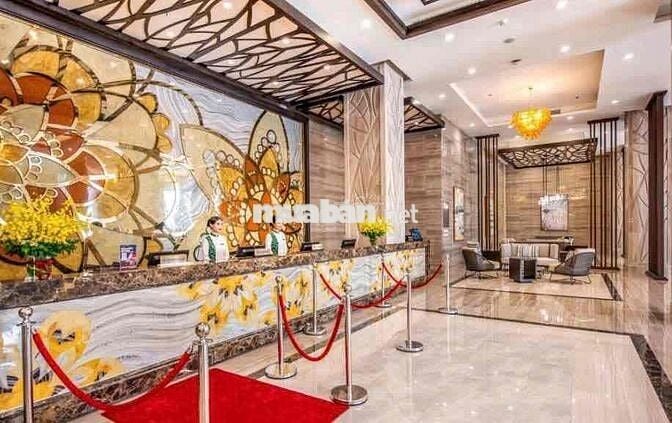 Chính chủ cần bán gấp  tặng ngay môi giới 50 tr