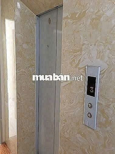 Cho thuê căn hộ mini 197/15 Bạch Đằng, F3, Gò Vấp