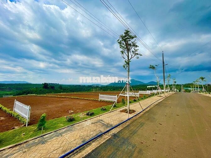 Đất ngộp giá rẻ sát Bảo Lộc, đường nhựa xe hơi, Sổ riêng