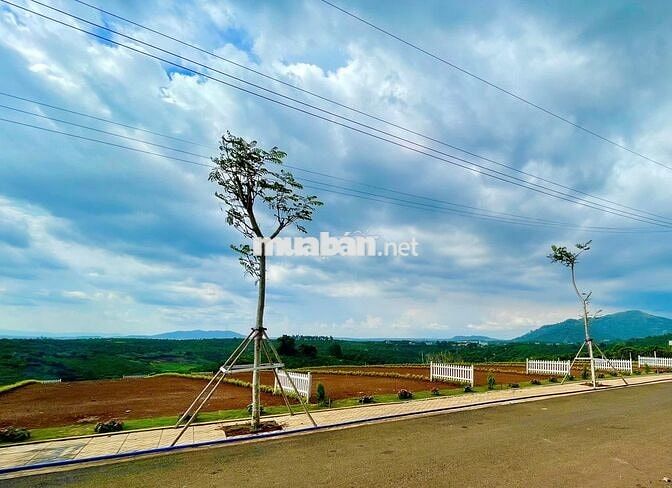 Đất ngộp giá rẻ sát Bảo Lộc, đường nhựa xe hơi, Sổ riêng