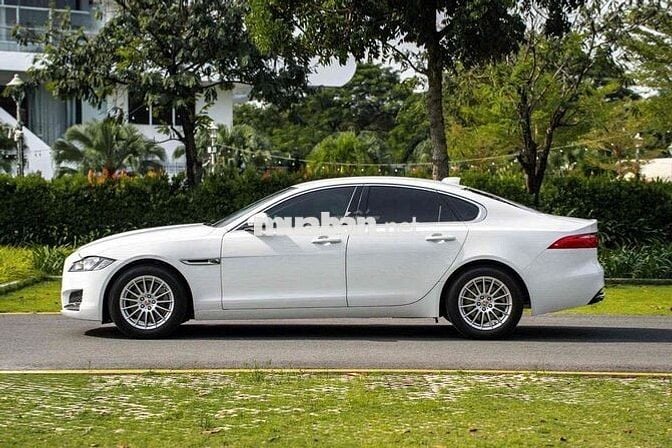 Jaguar XF Pure 2017 Trắng 40.000 miles
