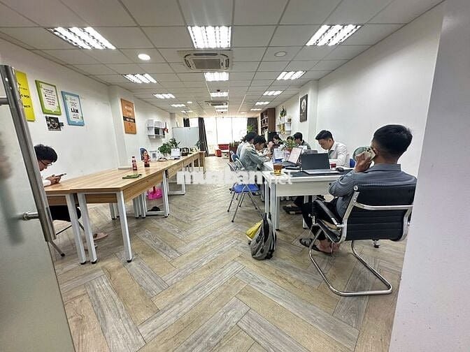 🏢 BUILDING BẠCH ĐẰNG, TÂN BÌNH – HẦM 8 TẦNG, QUY MÔ 1.250M²
