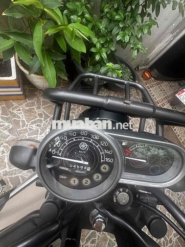 Yamaha PG1 2024 Vàng Cát 4500 km
