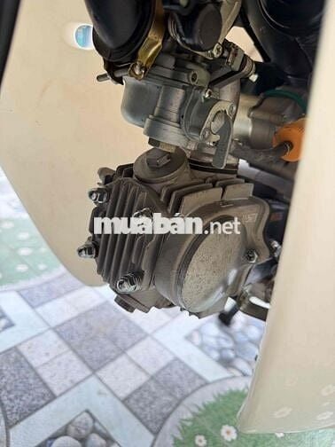 Honda Cup 50 2022 Xanh ngọc, Trắng