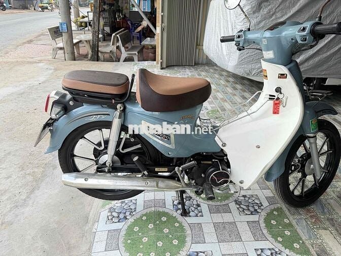 Honda Cup 50 2022 Xanh ngọc, Trắng