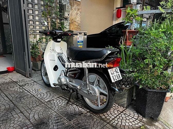 Honda Super Dream 2008