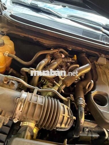 Ford Wiltrak 2019 Xám 11 vạn