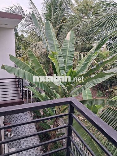 Cho thuê nhà 6x20, 1 trệt 1 lầu KDC Trần Anh Riverside sạch đẹp