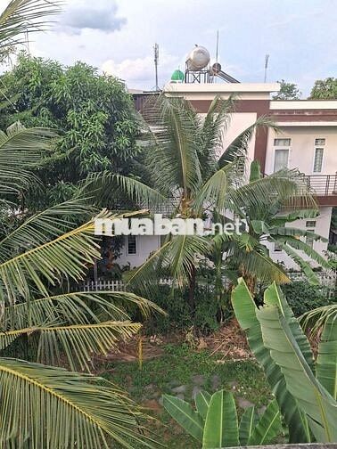 Cho thuê nhà 6x20, 1 trệt 1 lầu KDC Trần Anh Riverside sạch đẹp