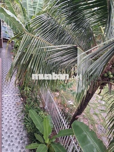 Cho thuê nhà 6x20, 1 trệt 1 lầu KDC Trần Anh Riverside sạch đẹp