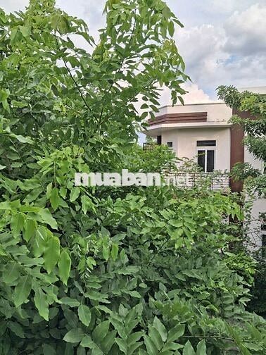 Cho thuê nhà 6x20, 1 trệt 1 lầu KDC Trần Anh Riverside sạch đẹp