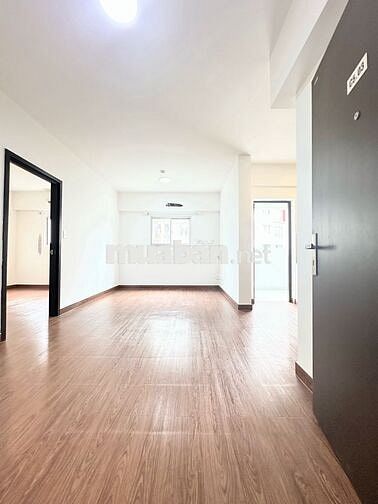 Bán căn hộ 1pn 1wc DT 50m2 khu Topaz celadon city Tân phú
