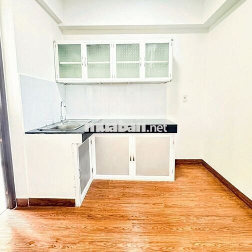 Bán căn hộ 1pn 1wc DT 50m2 khu Topaz celadon city Tân phú