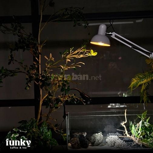 Sang quán Coffee ngay trung tâm quận 10 siêu rộng, hoạt động ngay