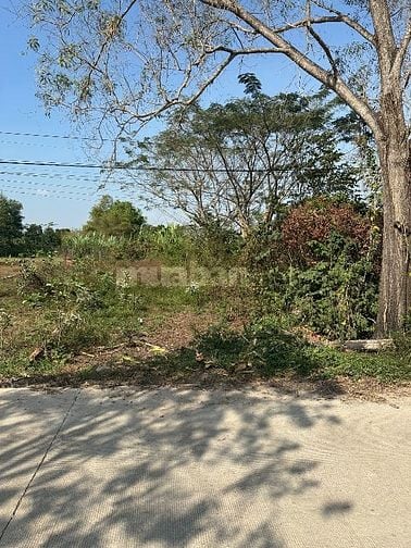 Bán đất Đức Hoà Long An full thổ cư 100% CHÍNH CHỦ 