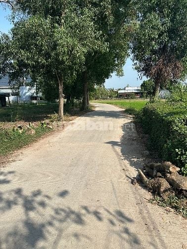 Bán đất Đức Hoà Long An full thổ cư 100% CHÍNH CHỦ 