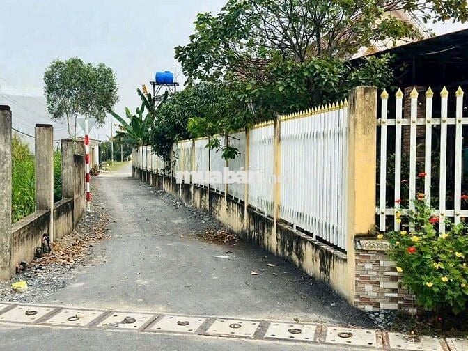 Bán Đất Thổ Cư Giá Rẻ Xã Tân Nhựt Bình Chánh TP HCM.