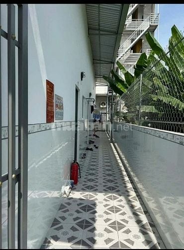 BÁN DÃY TRỌ ĐƯỜNG TRẦN ĐẠI NGHĨA 1 KIOT 5 PHÒNG GIÁ 850 TRIỆU SHR