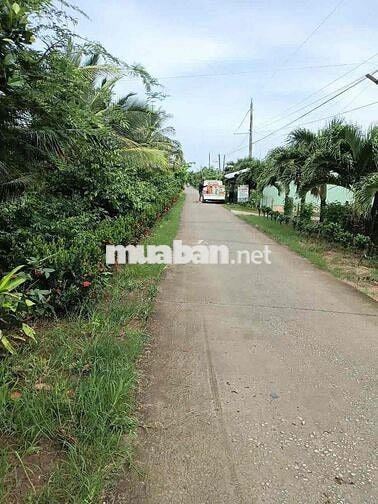 Bán 37.000m2 đất cây ăn trái, cách cao tốc Cần Thơ CM 30km