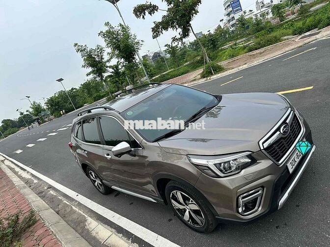 Subaru Forester Eyesight 2020 Nâu Tự động