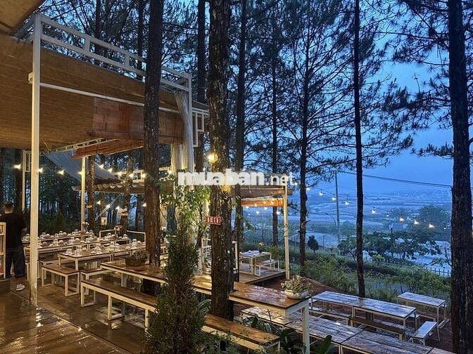 Tuyển phục vụ phụ bếp bao ăn ở