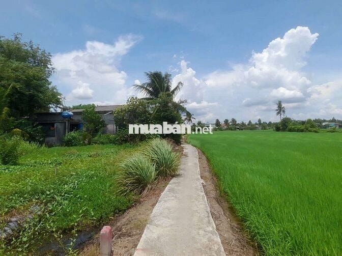 chỉ 239tr sở hữu 87m2 đất thổ cư Kdc Vàm Cỏ