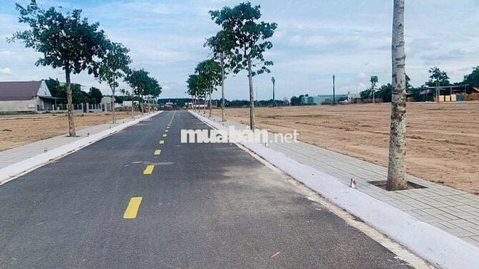 🚨CHỈ 980 TRIỆU SỞ HỮU NGAY ĐẤT SỔ HỒNG RIÊNG – CƠ HỘI KHÔNG ĐẾN LẦN 2!