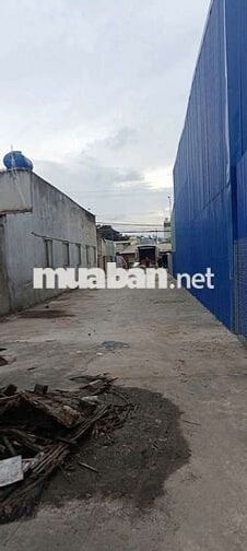 Đất Mặt Tiền TL 826 ( Đinh Đức Thiện nối dài) cần bán