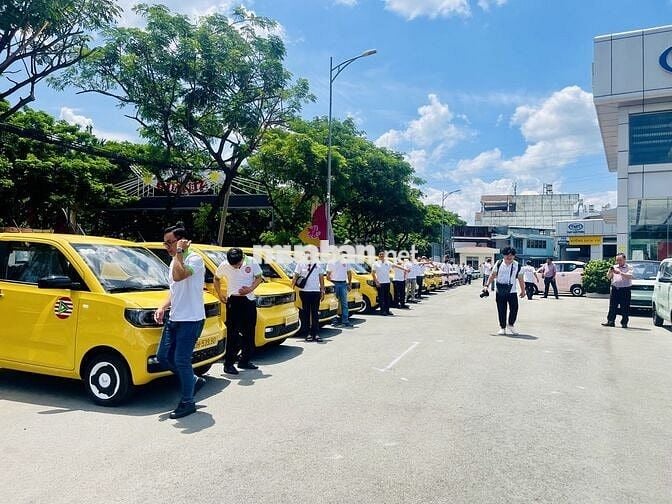 TOGO GROUP TUYỂN TÀI XẾ B2, D
