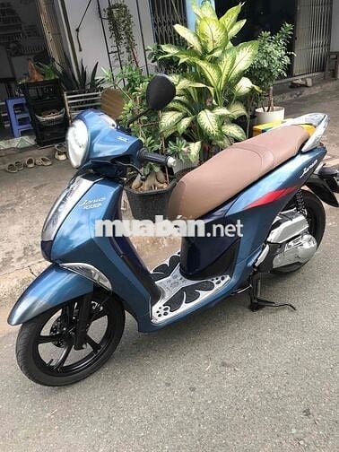 Yamaha Janus Xanh Xe tay ga