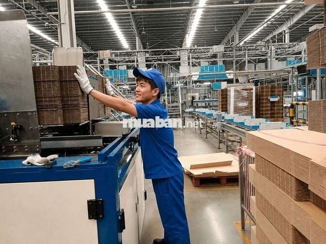 Tuyển dụng nhân viên bỏ thùng carton lên máy