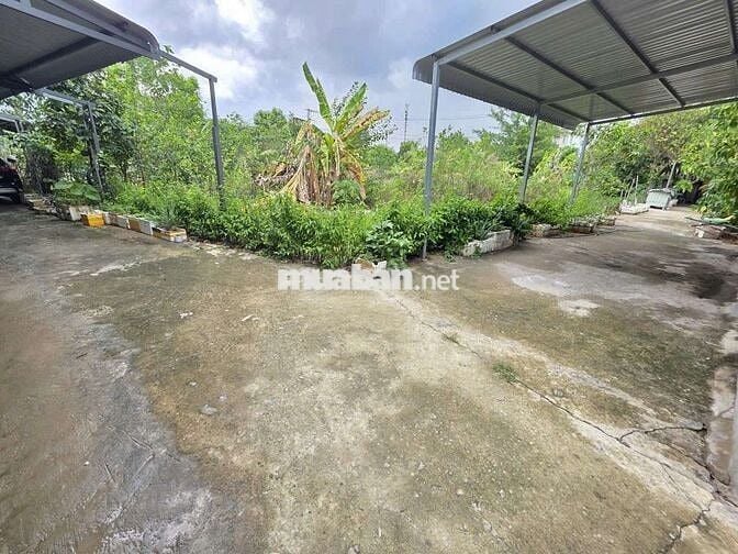 Đất kdc Đất mới phường Tân Bình Tp Dĩ An 