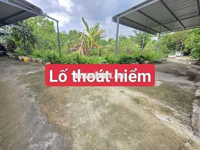 Đất kdc Đất mới phường Tân Bình Tp Dĩ An 
