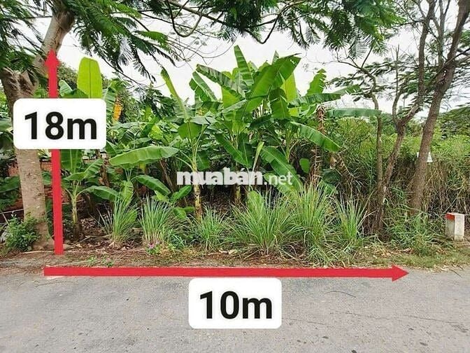 Bán nền đất 10×18m(180,2m2) đường xe hơi xã Quy Đức, huyện Bình Chánh