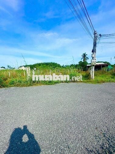 5x29 đường nhựa. Đất ở đô thị phường Gò Dầu. 520tr TL