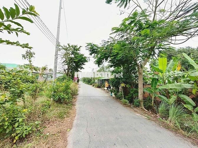 Bán nền đất 10×18m(180,2m2) đường xe hơi xã Quy Đức, huyện Bình Chánh
