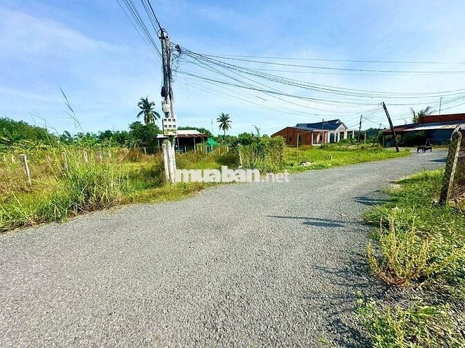 5x29 đường nhựa. Đất ở đô thị phường Gò Dầu. 520tr TL