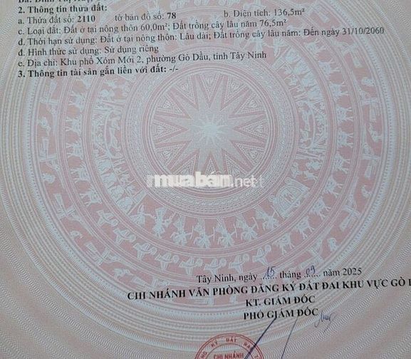 5x29 đường nhựa. Đất ở đô thị phường Gò Dầu. 520tr TL