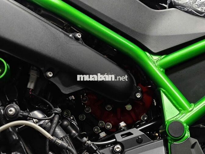 Kawasaki Z H2 SE Supercharged 998cc 