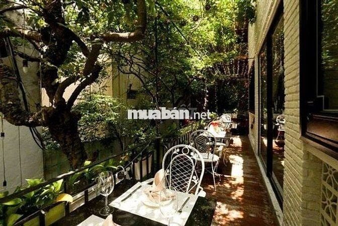 !!! SIÊU HOT BIỆT THỰ SÂN VƯỜN 1000M2 QUẬN PHÚ NHUẬN