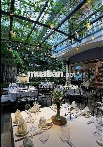 !!! SIÊU HOT BIỆT THỰ SÂN VƯỜN 1000M2 QUẬN PHÚ NHUẬN