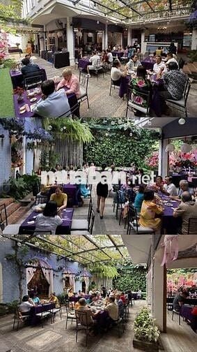 !!! SIÊU HOT BIỆT THỰ SÂN VƯỜN 1000M2 QUẬN PHÚ NHUẬN