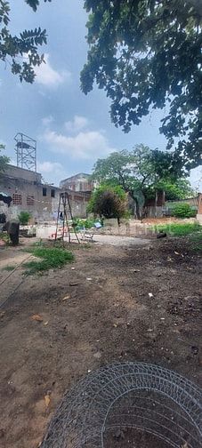 Cho thuê đất trống 650m2 đất thổ cư